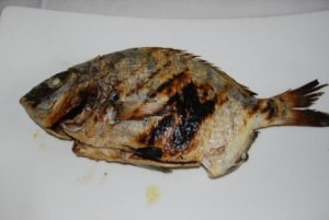 Giovinazzo - grilled Sarago